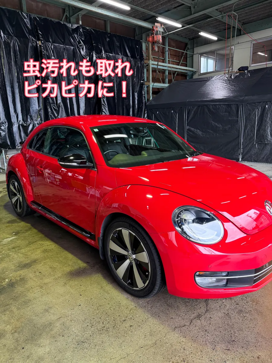 赤いフォルクスワーゲン・ビートル 虫汚れ除去後の仕上がり