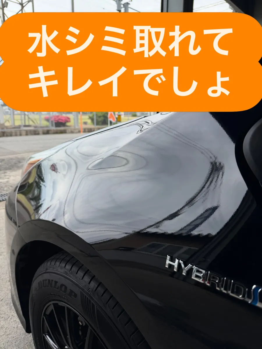 水シミ除去後のボンネット 施工後